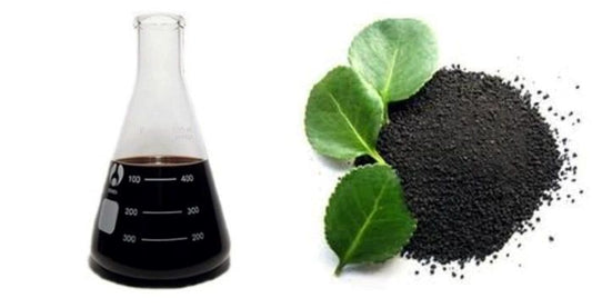 Humic Acid as a Natural Antidote for Graphene