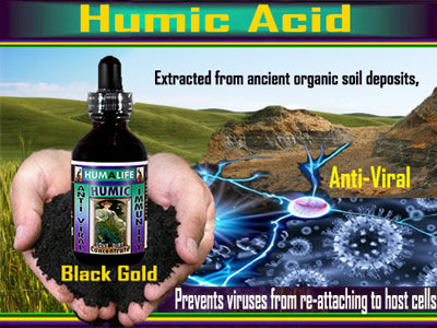 Humic Acid - Ancient Black Gold