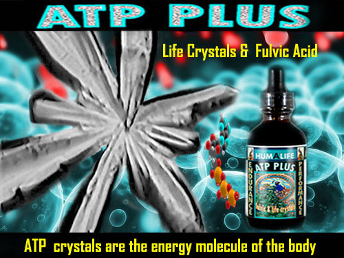 Life Crystals = ATP +